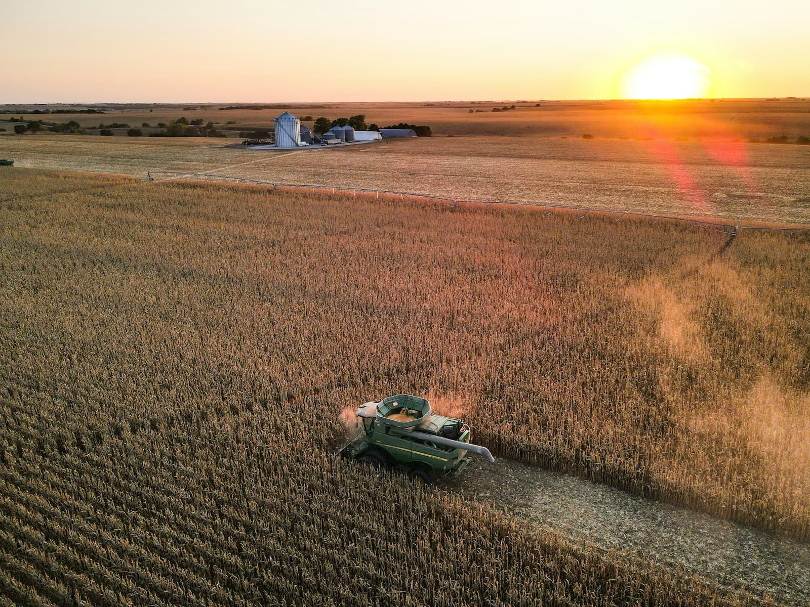 corn harvest & auger
