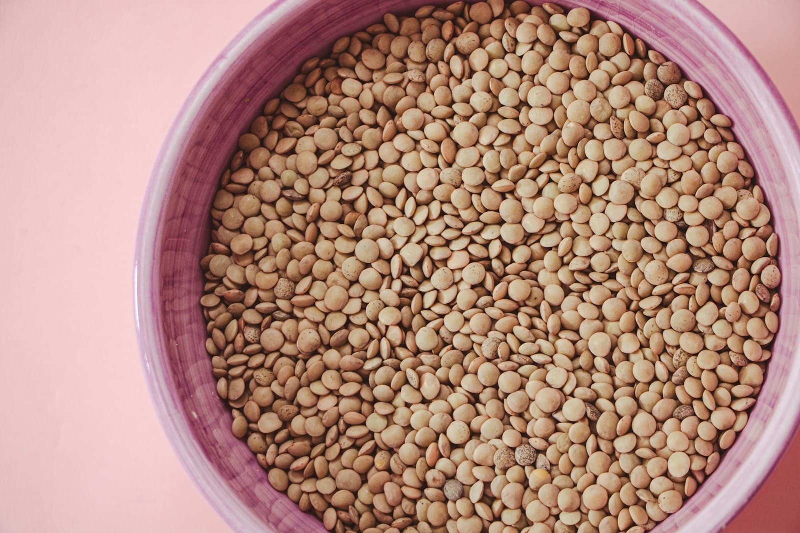 lentils, close-up