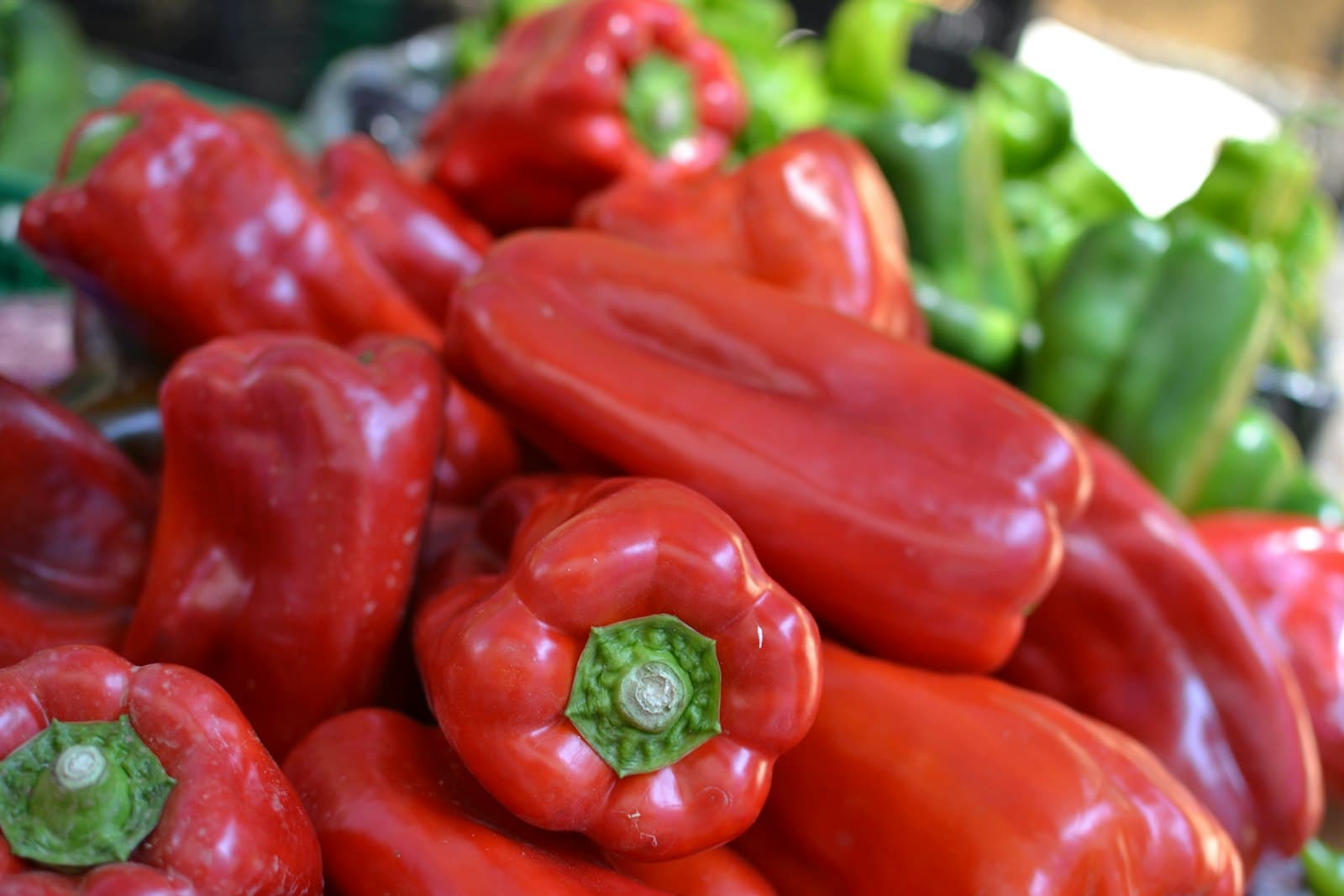 orange bell peppers in greenhouse