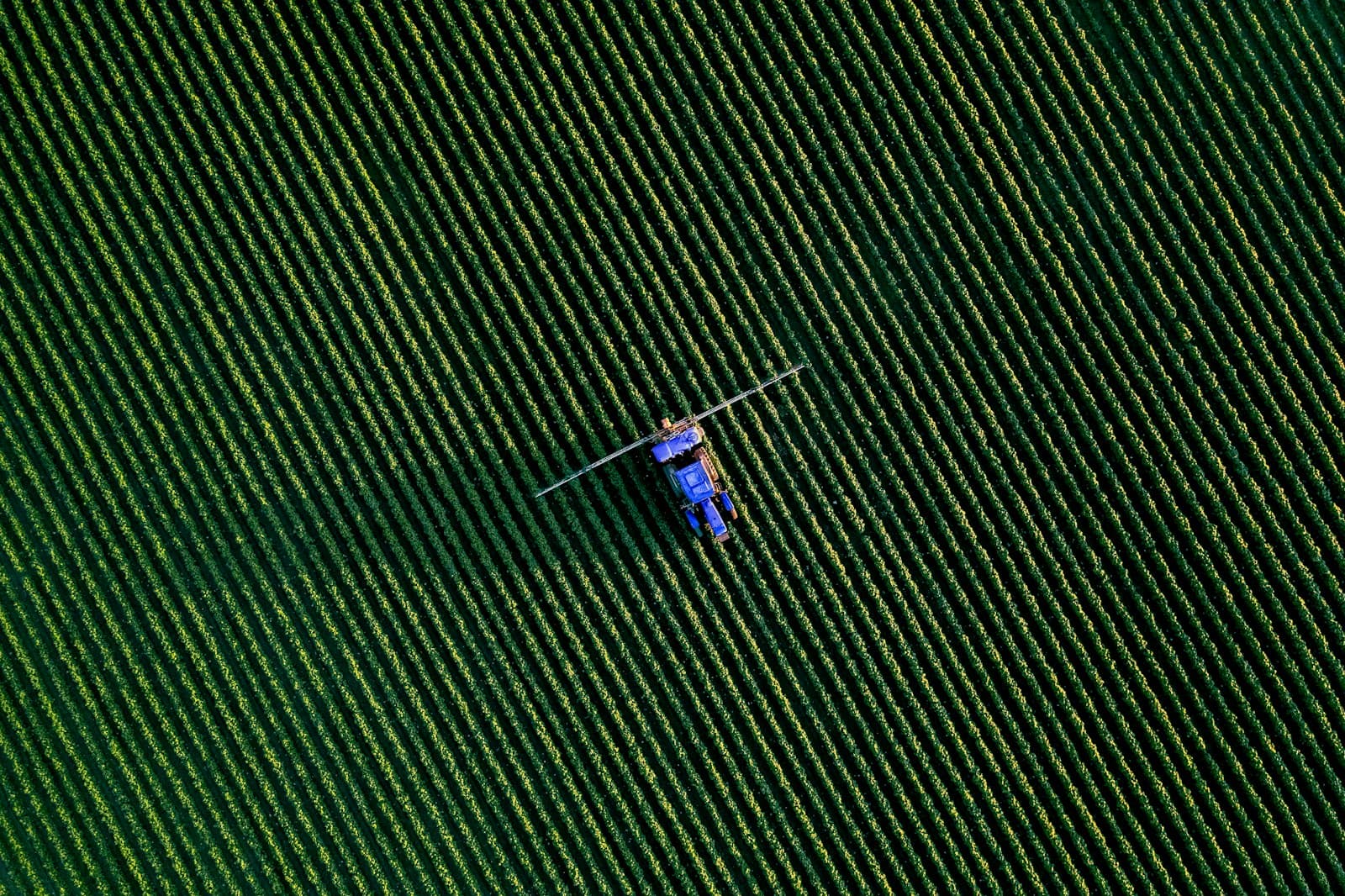 field crops at scale